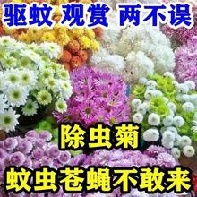 ɫxxշNûNֲļNֲ׻ͥԺ