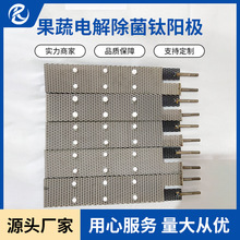 厂家加工果蔬电解除 菌钛电极设备用铂金 钛合金阳极氧化电极