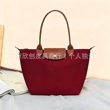 法国周年系列龙骧长柄刺绣手提包饺子包尼龙大容量防水环保色系折