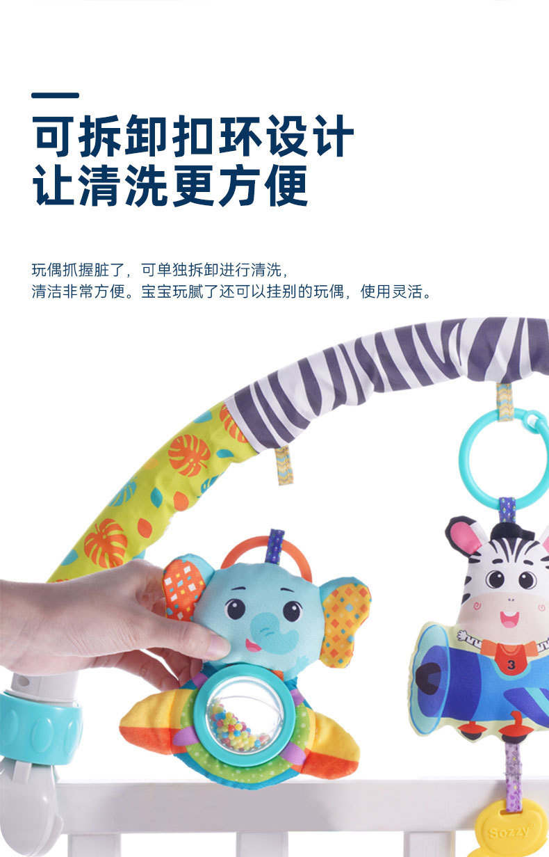 详情 (10)