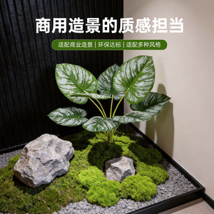 ����Gֲ���^��ĸ����ř��쾰�bٻ��廨ާ�ֲ�������~���ϲ�