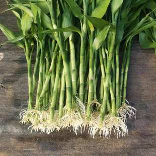 Fи횴~M՚҃ԾGֲˮBܰ]