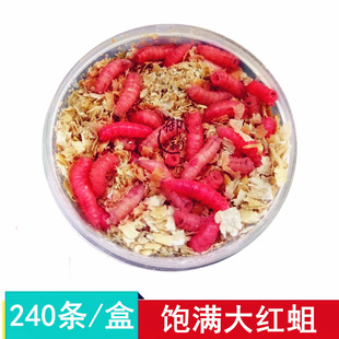 ��~���x���w�~�D��������M��̖�t���Ϫʯ�߹��~�r���a�~�D��