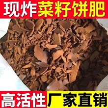 菜籽油饼农家菜枯打窝油菜饼菜籽有机肥营养土肥料钓鱼油枯水晶泥