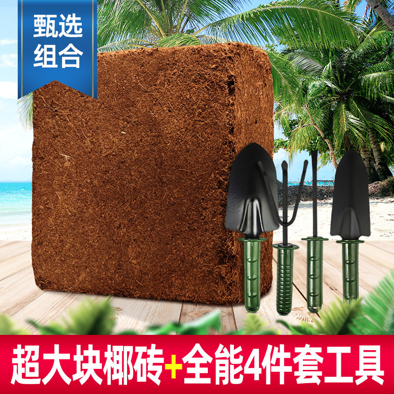 [선택 조합] 4.5kg 탈염 특대형 코코넛 벽돌 1개 + 만능 4종 도구 세트