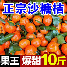 �V��ɰ�����rˮ���o�ё�����Ƥ��������ɳ�ǽ��������l���]