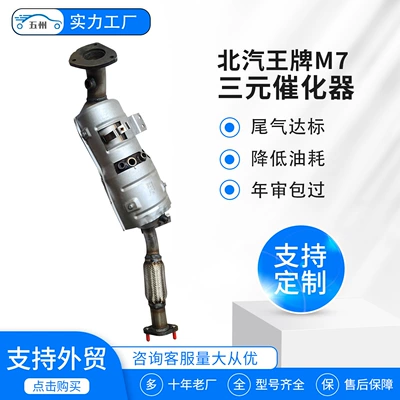 Manufacturer Supplies Exhaust Purifiers to Katalizator