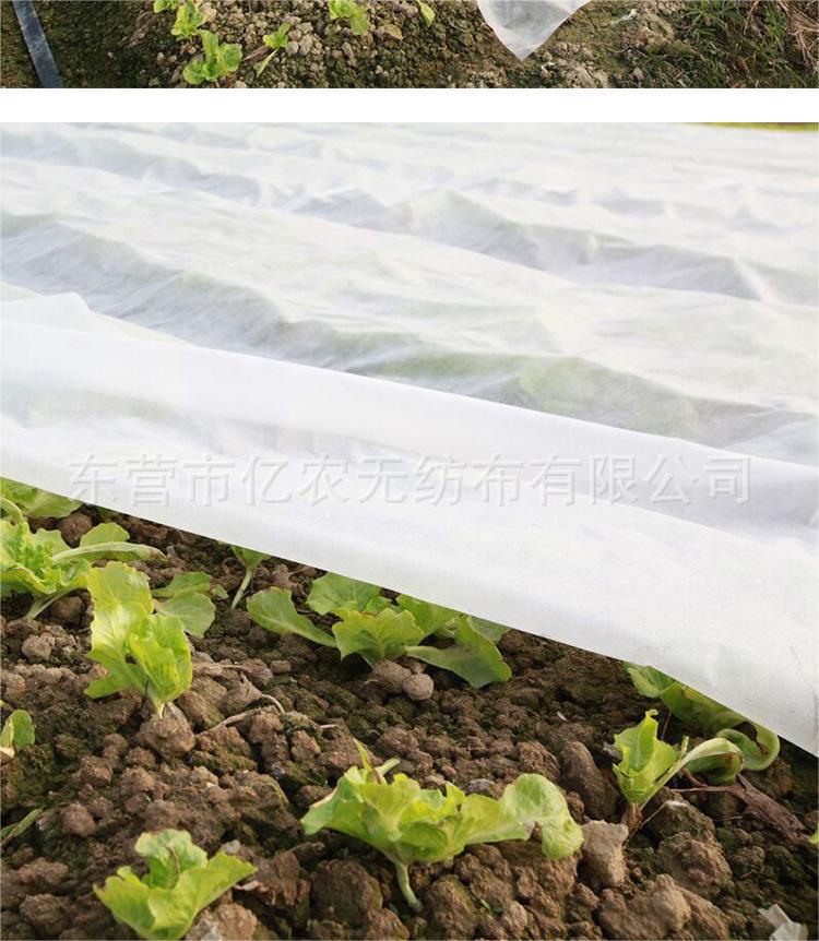 O1CN0173RgzS1bWgVmmz7dy_!!2924243473-0-cib.jpg?__r__=1722236006216