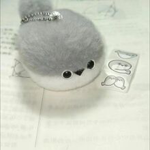 �ɐ�ë�q��ż���~��żë�q����������նY�﹫��耳׿�Ů�����