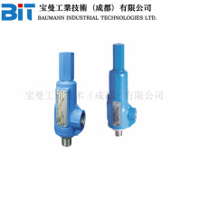 �������_˹��Crosby OMNI&shy;TRIMֱ��ʽ����ጷ��y��ȫ�y���]