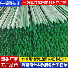 �m���ţ�ھW�F�z�W������Y�����ǌ������Bֳţ�������ھW����