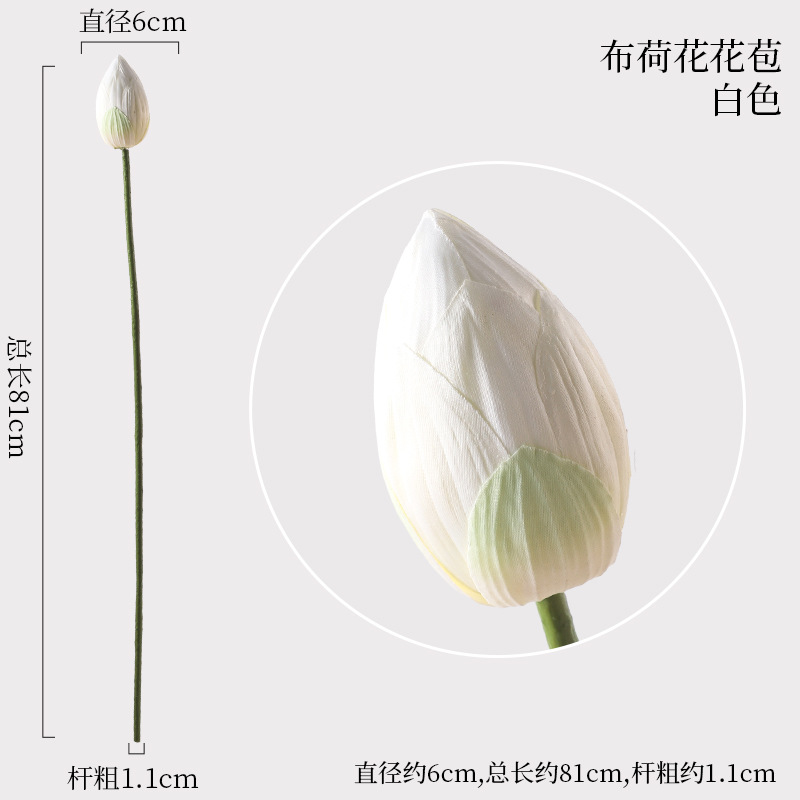 천 연꽃 새싹 흰색