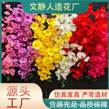 ����270�^���һ��� ��c�쾰    �@�ֱ��� �Ҿ��b� �҃ȵ��ɭϵ