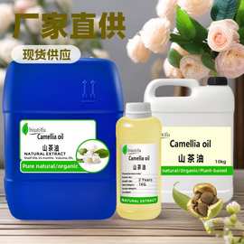 源头工厂山茶油按摩护肤基础油植物油原料 山茶油现货批发