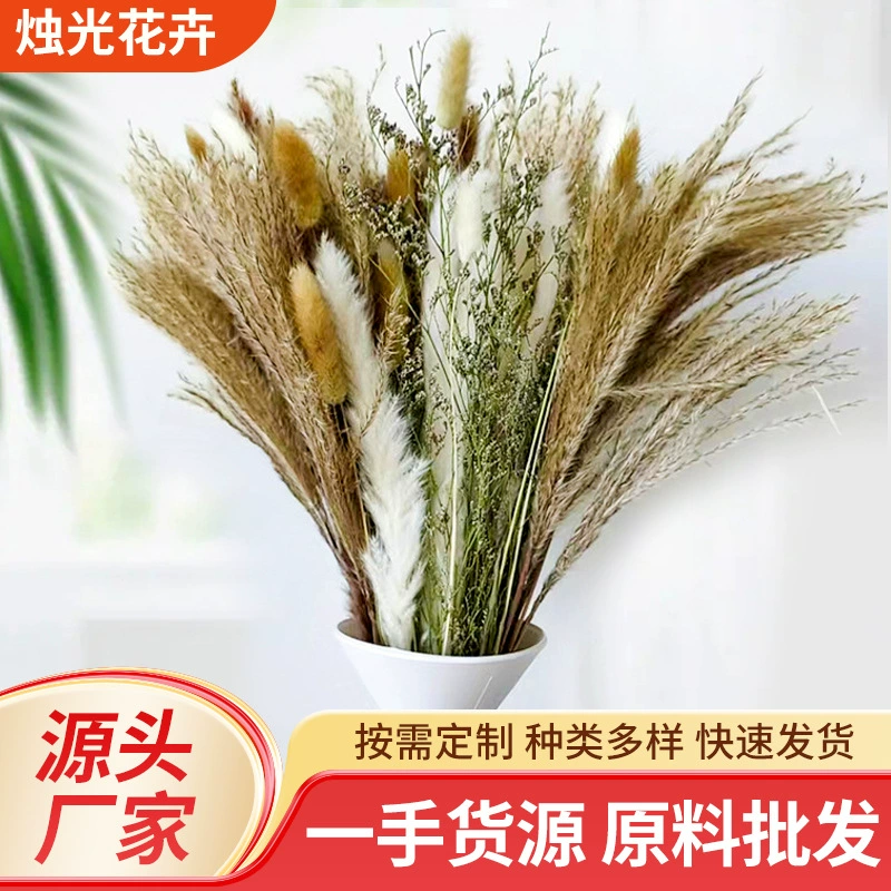 Юньнань маленький тростник Хаута плавающий и затонувший трава деревянный комбинированный букет Amazon горячие продажи декоративные украшения для гостиной