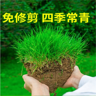 ����é��ƺ�N���ļ������ͺ���������С�^���@�o���伾�;G������