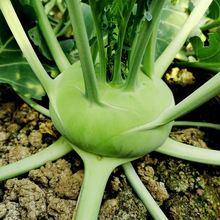 {No{  ɏNļ߲˷NݴȫSֱN