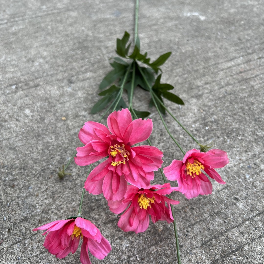 7 tenedor flor oriental Rose Red