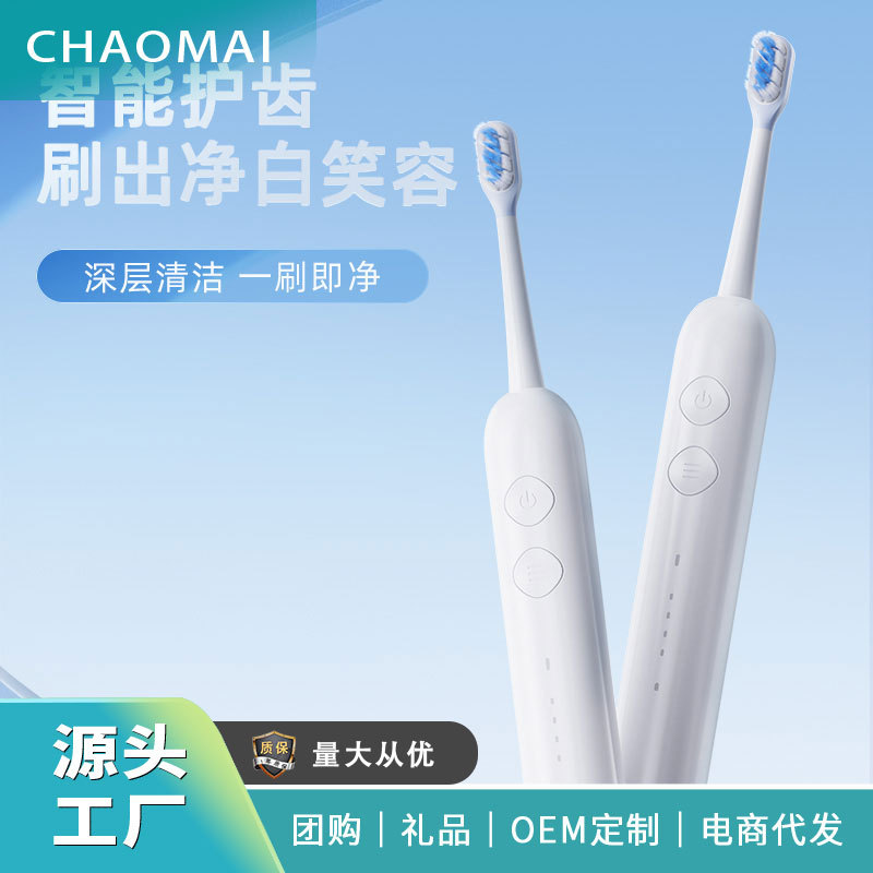 Cross-border Electric Dental Cleaner Waterproof Household Dental Cleaner Replacement Brush Head USB Charging Electric Toothbrush Sweep Vibration