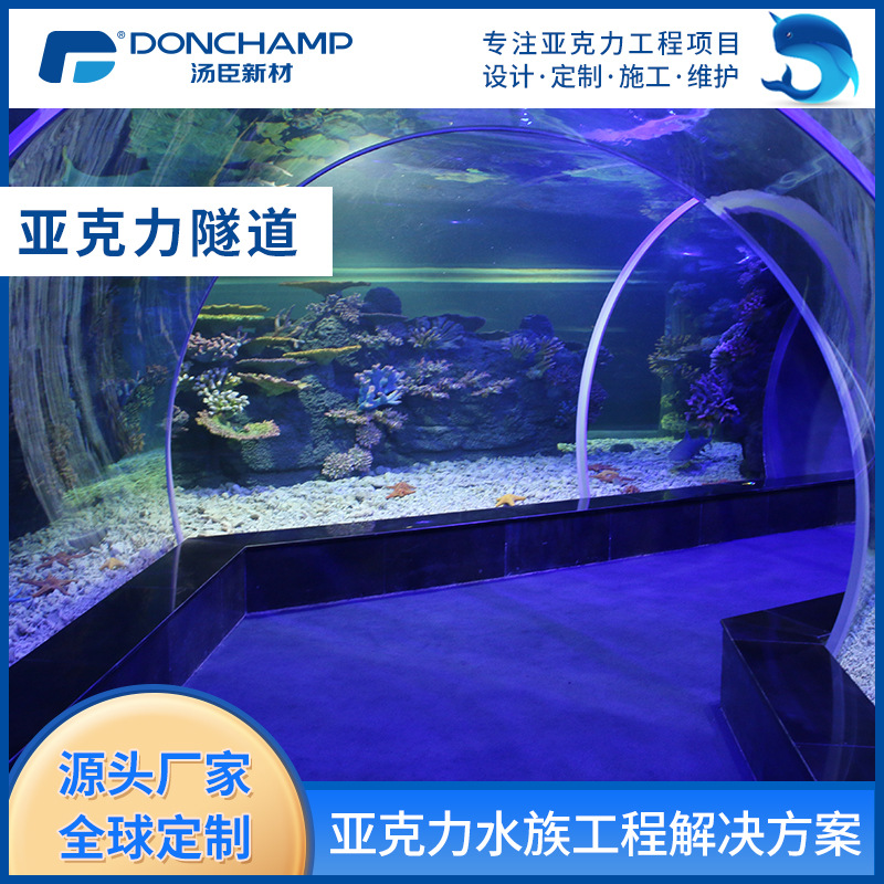 汤臣定制大型亚克力海底隧道 海洋馆水族馆工程鱼缸设计施工安装