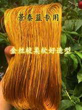 ̩{ˇXzyzzzmŮֹdiy߲ɳ