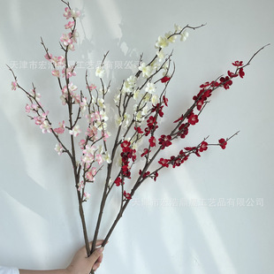 �¿���滨÷�� ��c�ߙn��Y�ñ���ܛ�b �Ƶ�[�� �����û� �F؛