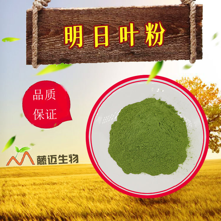 明日叶粉 现磨生粉 品质把控 1kg起订 欢迎选购 可出口 明日叶粉