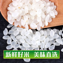 东北大米5kg圆粒珍珠米新米黑龙江10斤大米真空袋装团购 批发整箱