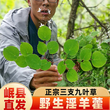 ���CҰ��С�~����޽��ș�Ĭ�����ɐ���i����`Ƣ��Ʒ�ݾ�������ˮ