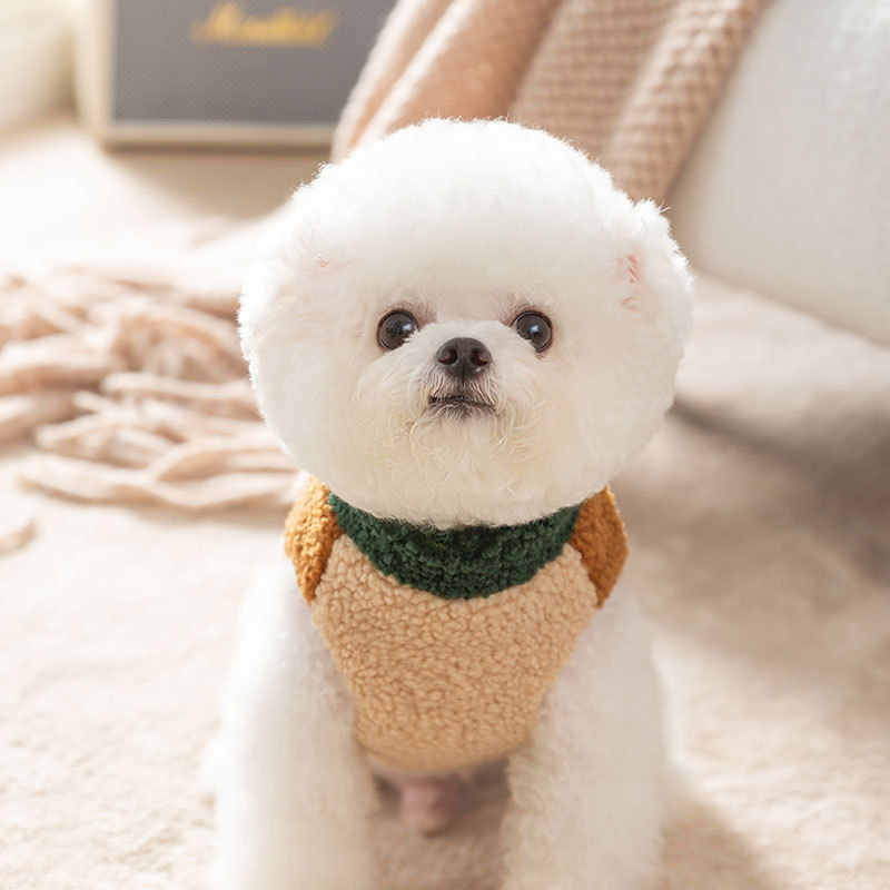 Estilo coreano Otoño e Invierno perro mascota lana grano color a juego Chaleco de tracción abrigo de algodón acolchado gato engrosada ropa de peluche para mascotas
