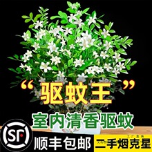 ������þ��������Ի����҃�����ò�ֲ����������Ϙ��辰�Gֲ