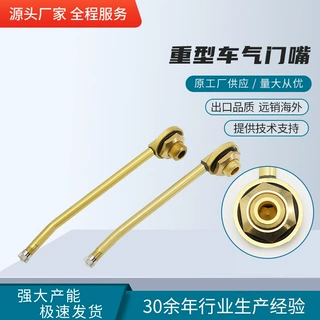 V3.17卡车工程车轮胎气门嘴重型车真空胎双打弯气嘴汽车轮毂气咀