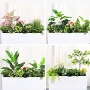 定制组合仿生仿真花槽
