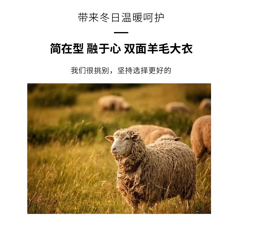 443f46eff99a43f63823150fe1d988