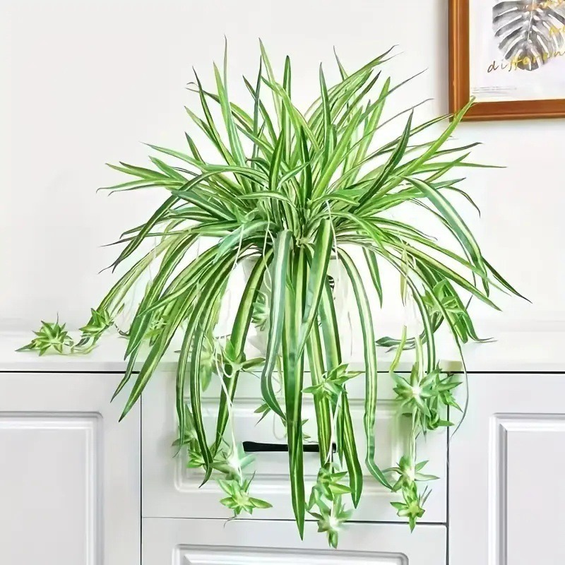 仿真5叉金边布吊兰植物墙配材绿植仿真假花装饰摆件仿真花|undefined
