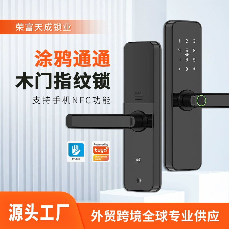 [跨境外贸房间木门指纹锁民宿智能门锁刷卡锁涂鸦通通锁远程开锁]