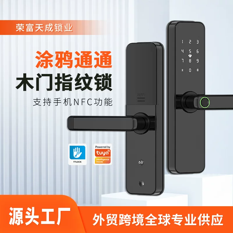 [跨境外贸房间木门指纹锁民宿智能门锁刷卡锁涂鸦通通锁远程开锁]