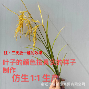 ��������뵾�뵾�ȵ��ӹ��������Sˮ�����S���b�Ʒ��������ܛ�b