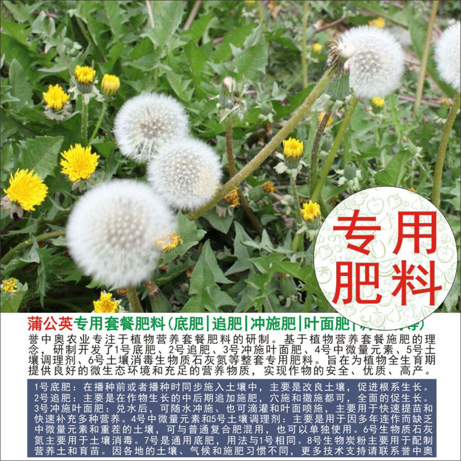 1-50斤誉中奥蒲公英婆婆丁专用有机肥复合肥底肥追肥叶面肥冲施肥