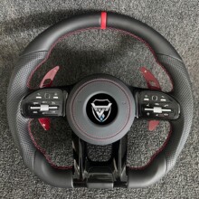����춱��YAMG̼�w�SLED����PACEGS��GLCGLEGLS�Ͽ���b�¿�����