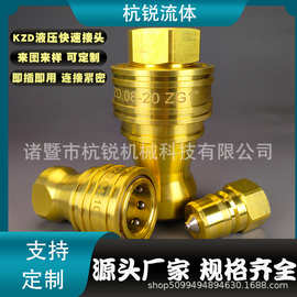 厂家供应KZD液压快速接头黄铜接头模具快速接头ZG1寸自锁快速接头