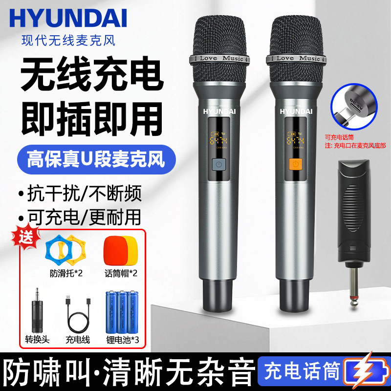 Modern Universal Wireless Microphone Universal Professional Home Singing Karaoke Outdoor Audio One-To-Two Receiver Microphone