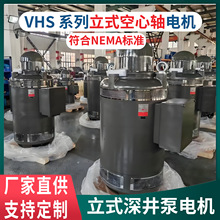 VHS/VSS/YLB��ʽ�����S늙C�����늙C����NEMA/IEC��׼