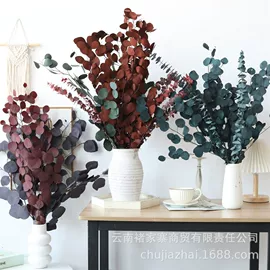 干花;鲜花花艺制品;永生花