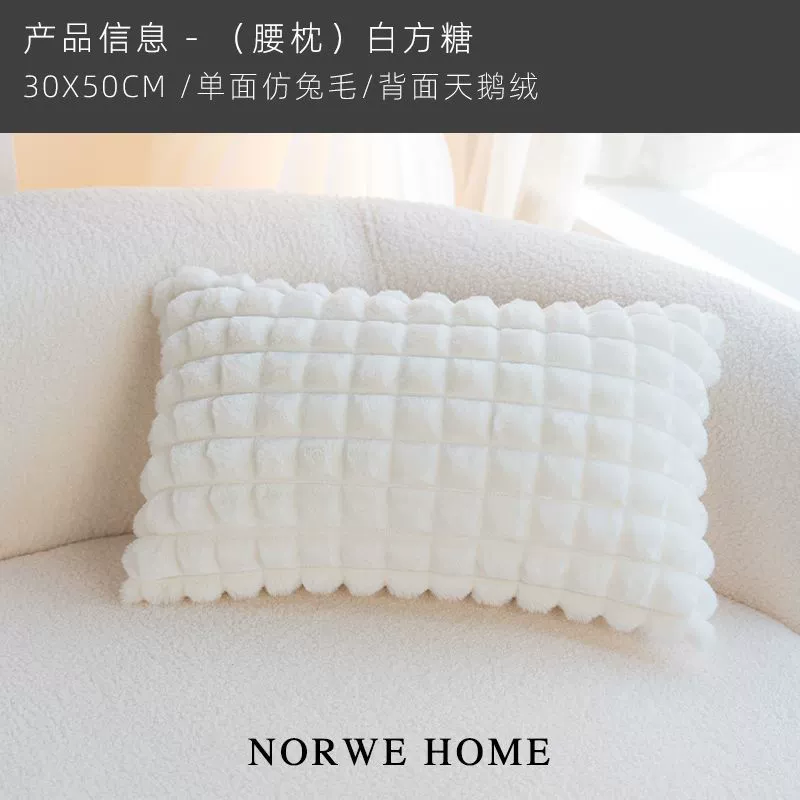 Sofa, back pillow, detachable pillowcase, french style