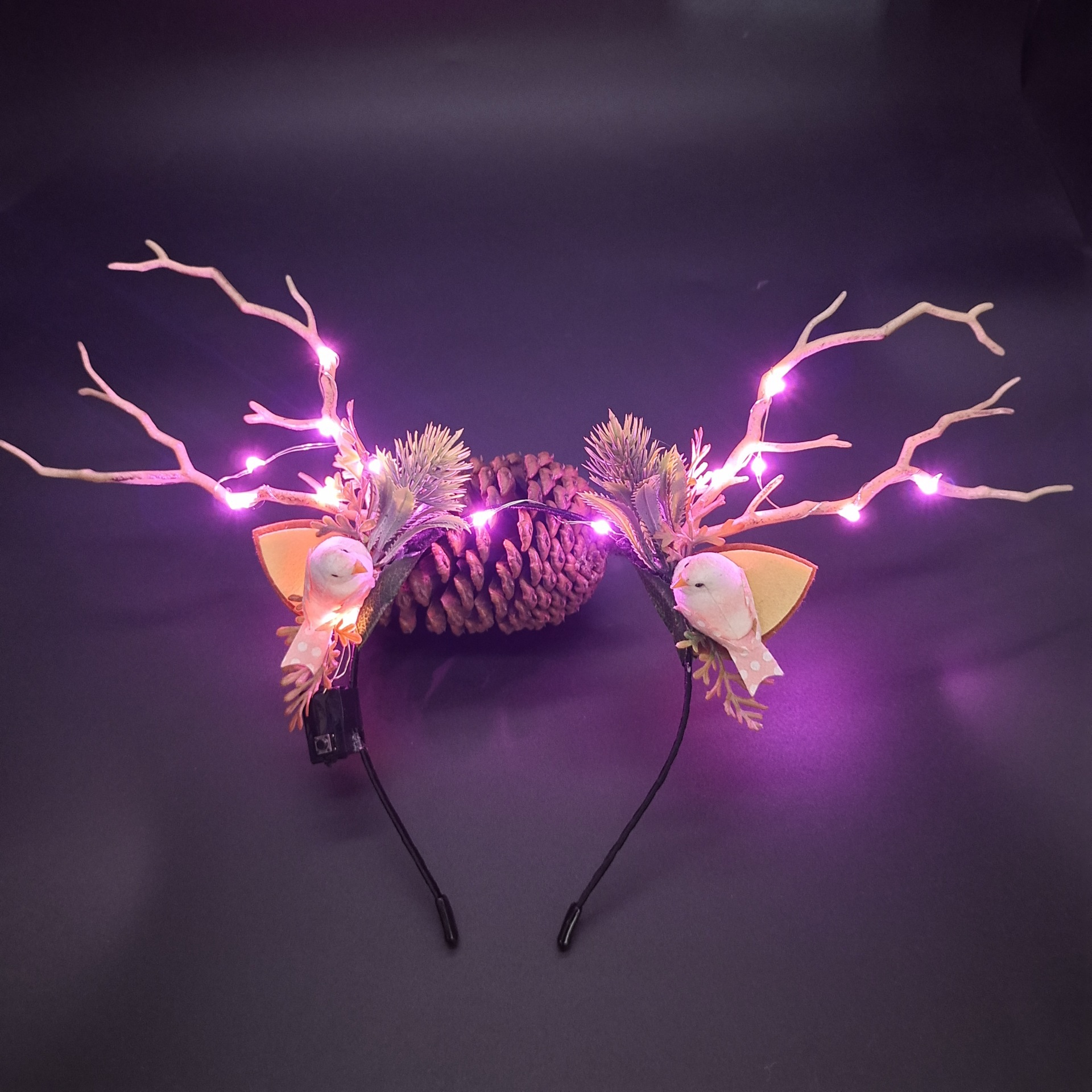 22719396177_1760652130