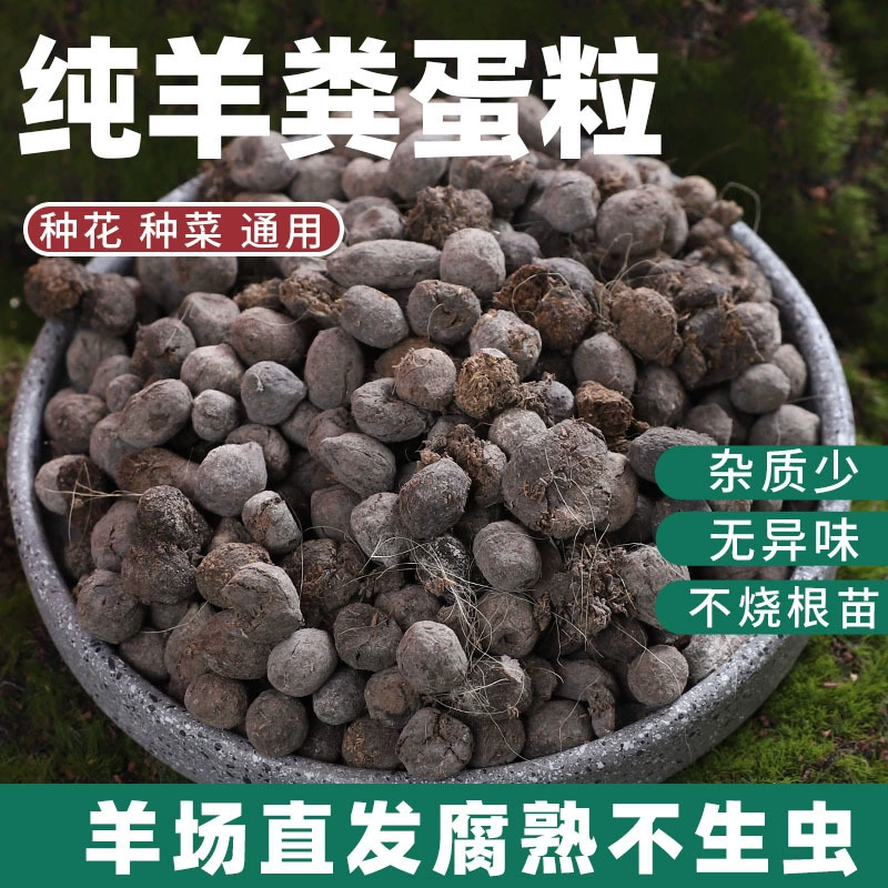 Фермерские чистые овечьи навозные яичные зерна ферментированные гнилые насекомые суккуленты выращивают горшечные цветы и овощи Органическое удобрение