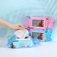 Newborn Hand Mouth Bottom General Wet Wipes with Cover Dustproof Household Baby Wet Wipes Cross-border