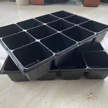 ����PѨ�P��ݮ�������绨�����{�����ϷN�ӟ��������ˮ�P�бP