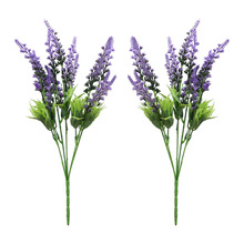 5ܛz޹² ҾӻcĔzbGֲ廨ֲ